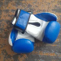 دستکش بوکس|تجهیزات ورزشی|هشتگرد, هشتگرد قدیم|دیوار