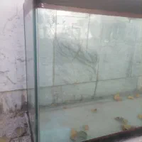 آکواریوم ابعاد 102*38*62