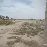 زمین