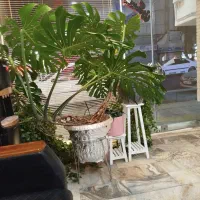 فروش مغازه ۶۰م بین میدان شهید رجایی وچراغ قرمز