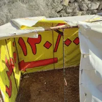 تور برای مرغ یا کفتر و...