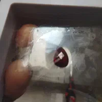 یاقوت و لعل رمانی (بشرط)