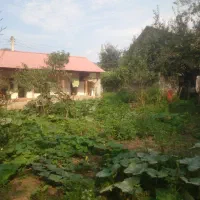 ویلا 500متری،روستایی،سندتک برگ