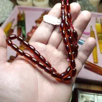 سندلوس گندمی نباتی تیره ترکیه