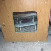 دستگاه جوجه کشی