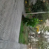 زمین مسکونی با خانه کلنگی|فروش زمین و ملک کلنگی|قائم‌شهر, |دیوار