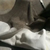 موکت فرشی|موکت|شادگان, |دیوار