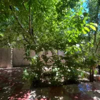 خانه ویلایی روستا دیال اباد|فروش خانه و ویلا|دشتابی, |دیوار