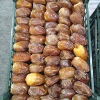 خرما درشت دانه کبکاب