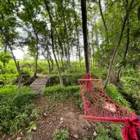 کلبه سویسی دو خوابه جکوزی دار ویو جنگلی  ماسال|اجارهٔ کوتاه‌مدت ویلا و باغ|رشت, منظریه|دیوار