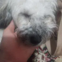 دوستمون دختر ۸ ماهشه