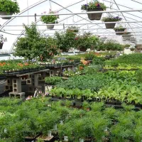 جذب یک کارگر ساده آقا