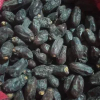 خرما ربی
