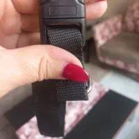 قلاده پرانگ کالر|لوازم جانبی حیوانات|تهران, پردیسان|دیوار