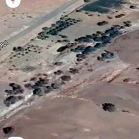 زمین باغی|فروش زمین و ملک کلنگی|سرشیو, |دیوار