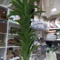 گل مصنوئی|گل مصنوعی|کبودرآهنگ, |دیوار