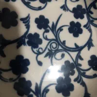 بادیگارد محافظ شخصی  حرفه ای با سوابق بدون شکست