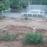 فروش فوری باغ۱۰۰۰ متری زردآلو|فروش دفتر صنعتی، کشاورزی، تجاری|آباده, |دیوار