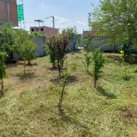 زمین در منطقه کفشگرکلا قائمشهر
