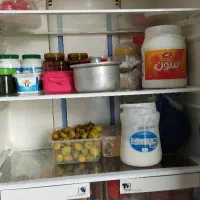 یخچال فریزر سینجر|یخچال و فریزر|تهران, شادآباد|دیوار