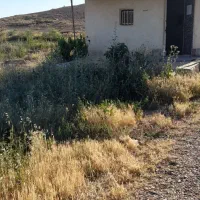 زمین باغ انگور با سهم آب