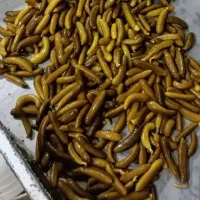 خیارشور همدان