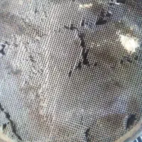 کاتالیزور اگزوز|قطعات یدکی و لوازم جانبی|زابل, |دیوار