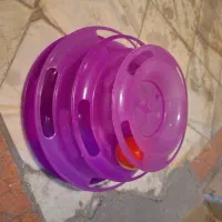 ظرف آب و غذای گربه|لوازم جانبی حیوانات|تهران, شهرک مخابرات|دیوار