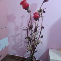 اباژور