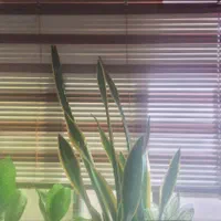 پرده ی کر که ای در دو رنگ بسیار شیک