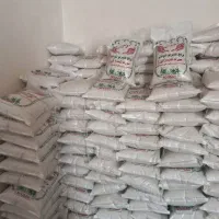 عنبربو شوشتر