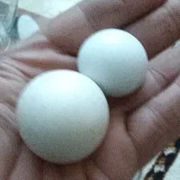 سنگ الماس اسیاب گبری