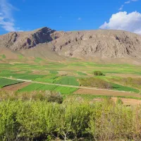خانه-باغ-استخر