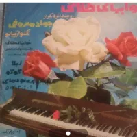 صفحه گرام بزرگ پیانو جواد معروفی