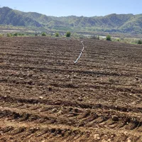 زمین کشاورزی اب شخصی|فروش زمین و ملک کلنگی|بوستان, |دیوار