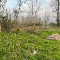 دو قطعه زمین تفکیک شده بر اصلی روستای پنچاه