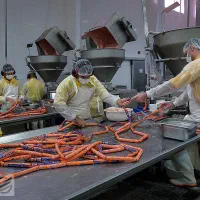 کارخانه سوسیس کالباس/راننده،موزع،کارگرخانم آقا|استخدام حمل و نقل|اسلامشهر, شهرک مهدیه|دیوار