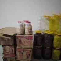 انواع ترشیجات
