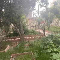 فروش-باغچه-شاهد-شهر