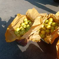 سیب درختی زرد و قرمز|خوردنی و آشامیدنی|باوله, |دیوار