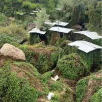 نیازمند خانه برای رهن و کرایه با پول پیش ۵۰ تا ۱۰۰