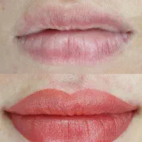 خدمات تتو لب|خدمات آرایشگری و زیبایی|شیراز, تندگویان|دیوار
