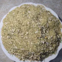 بابونه المانی