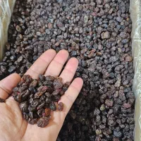 پخش کشمش مرکزی مهرشهرو آق تپه....|خوردنی و آشامیدنی|کرج, احدآباد|دیوار