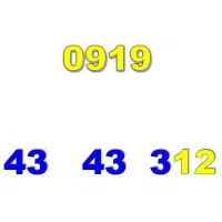 0919-43-43-312