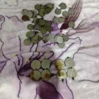 سکه قدیمی رضا شاه|کلکسیون سکه، تمبر، اسکناس|تبریز, |دیوار