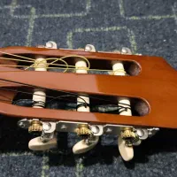 گیتار یاماها C40 در حد نو|گیتار، بیس، امپلیفایر|بوشهر, |دیوار