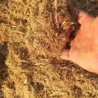 کاه مخصوص همه حیوانات