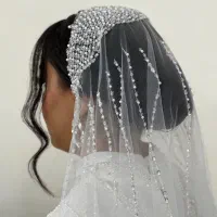 شنیون میکاب. ۴۹۰