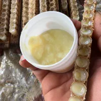 فروش ژل رویال